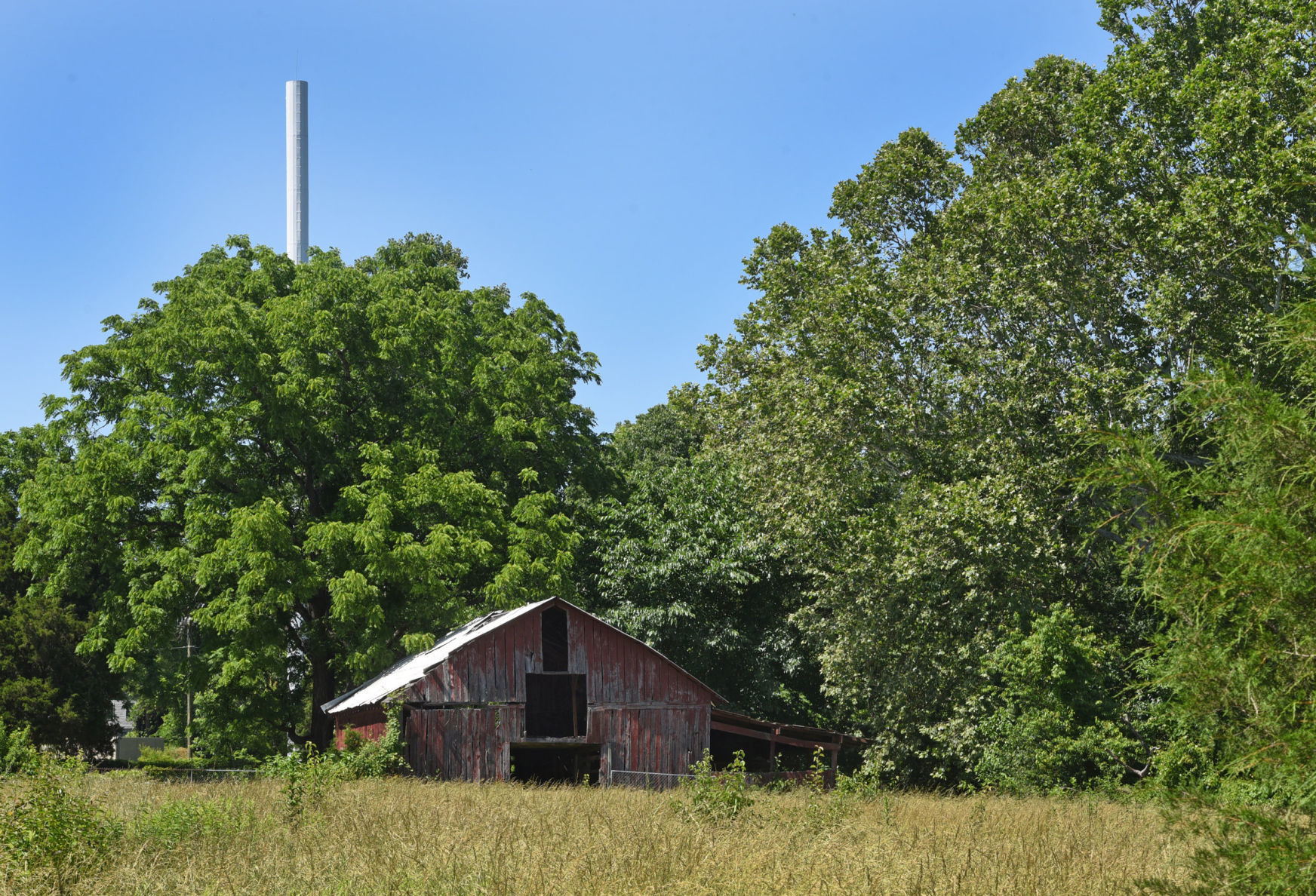 Goat Farm